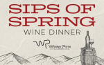 Image for Sips of Spring