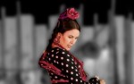 Image for Fall in Love with Flamenco