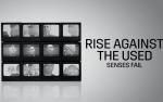 Image for Rise Against with The Used
