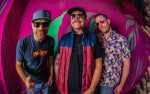 BADFISH: A TRIBUTE TO SUBLIME