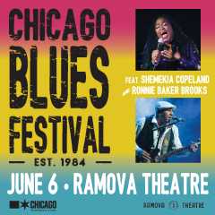 Image for 2024 Chicago Blues Festival