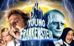 FILM: Young Frankenstein