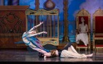 Image for The Nutcracker Presented By The Centre Performing Arts Company