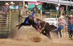Image for PRCA Rodeo