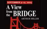 Image for A View From The Bridge - Opening Night