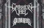 Image for Carrion Vael & Aethereus