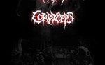 Image for Cerebral Incubation / Cordyceps + Guests