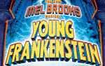 Image for Young Frankenstein 
