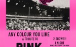 Image for Any Colour You Like - A Tribute to Pink Floyd DINNER CONCERT