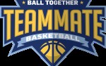 Image for TEAMMATE BASKETBALL
