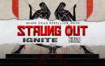Image for Strung Out
