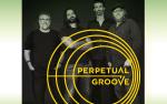 Image for PERPETUAL GROOVE