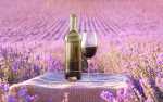 Image for Wine Tasting Dinner: Spring Wines