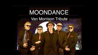Image for Moondance (A Tribute to Van Morrison),  All Ages