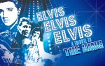 Image for Elvis! Elvis! Elvis! A Tribute to The King