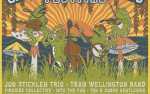 Image for Charleston Bluegrass Festival - Camping Pass
