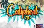 Image for Caliphest 2019
