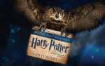 Harry Potter and the Sorcerer's Stone™ in Concert-Friday