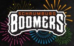 Image for Schaumburg Boomers vs Lake Erie Crushers