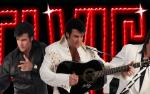 Image for Chris MacDonald Memories Of Elvis