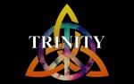 Image for Trinity - A Tribute to Crosby, Stills, Nash, and Young