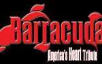 Image for Barracuda-Heart Tribute