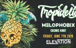 Image for Tropidelic and Melophobix