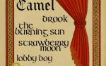 Image for Drook, The Burning Suns, Strawberry Moon, Lobby Boy