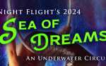 Image for Night Flight presents Sea of Dreams - An Underwater Circus SATURDAY MATINEE