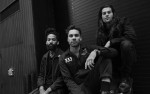 Image for The Fever 333