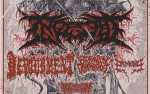 Ingested with Devourment and more