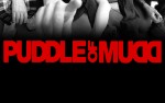 Image for Celebrate Cinco de Mayo With ! PUDDLE OF MUDD + Guests