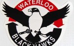 Image for Tri-City Storm vs. Waterloo Black Hawks