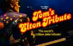 Image for Tom's Elton Tribute Show - The World's No. 1 Elton John Tribute!