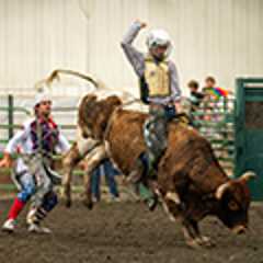 Image for RODEO Monday 09-02-2024 at The Evergreen State Fair Arena