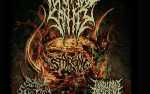 Image for DEFEATED SANITY, with Stabbing, Scum Sedition and Torturous Descent
