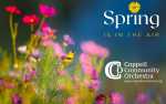 Image for The Coppell Community Orchestra Presents: Spring Is In The Air