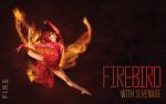 Image for Firebird With Serenade