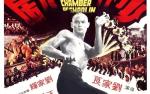 Image for The 36th Chamber of Shaolin