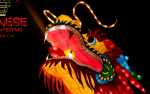 Image for 2022/2023 North Carolina Chinese Lantern Festival: ANY NIGHT TICKET