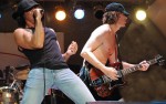Image for Back in Black: AC/DC Tribute