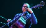 Image for An Evening with the Stanley Clarke Quartet