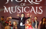 Image for The World of Musicals