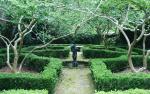 Image for Curated Tour " The Private Gardens of Historic Charleston"