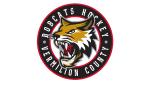 Image for Vermilion County Bobcats vs. Quad City Storm 2/14