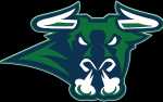 2024-2025 North Iowa Bulls & Mason City Toros Season Pass