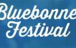 Bluebonnet Festival Flyer