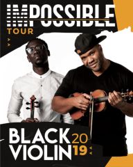 Image for CANCELLED - DO NOT SELL -  BLACK VIOLIN