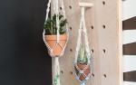 Image for Macrame Project: Macrame Plant Hanger (ONLINE CLASS)