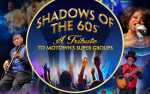 Image for A Tribute to Motown's Super Groups - Shadows Of The 60's